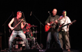 Koncert 5